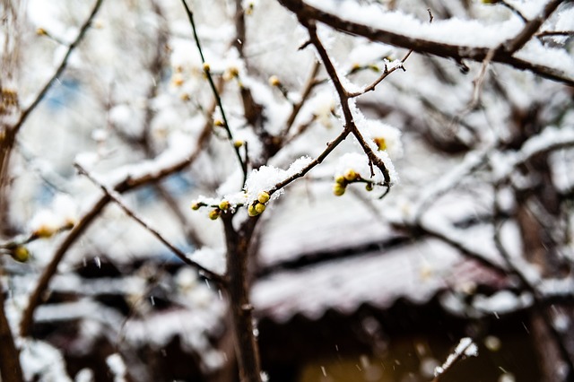 分数领先